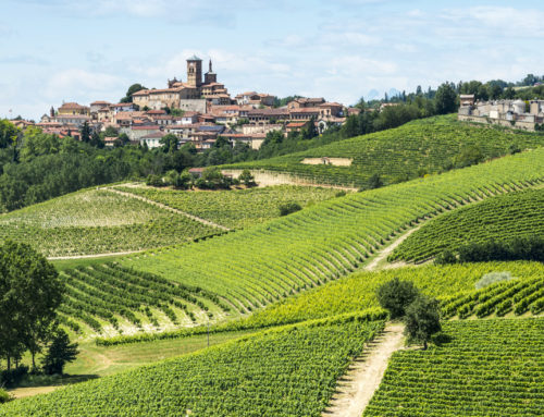 Il Monferrato nell’UNESCO